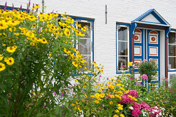 Traditional house and flower garden, Tönning, Eiderstedt peninsula, North Frisian Islands, Schleswig-Holstein, Germany, Europe