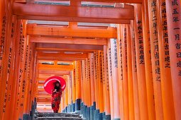 Japan,Kyoto,Fushimi Inari Taisha Shrine,Tunnel of Torii Gates
