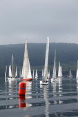 Sailing competion,  Sailingclub Oberstaad, near  Wangen, Hoeri, Lake of Constance, Baden-Wurttemberg, Germany