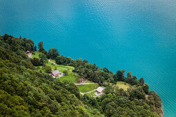 Lake Lucerne with the Ruetli meadow, the origin of Switzerland, Kanton of Uri, Central Switzerland, Europe