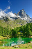 Matterhorn spiegelt sich in Bergsee, Cervinia, Breuil, Walliser Alpen, Aosta-Tal, Aostatal, Italien