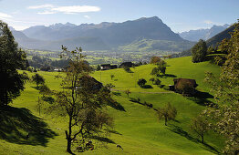 View over alpine meadow onto Schwyz from west, Canton Schwyz, Central Switzerland, Switzerland, Europe