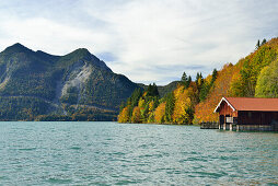 Boat house at lake Walchensee, lake Walchensee, Bavarian foothills, Upper Bavaria, Bavaria, Germany
