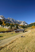 Weg führt durch Durontal mit Rosengarten im Hintergrund, Durontal, Fassatal, Rosengarten, Dolomiten, UNESCO Welterbe Dolomiten, Südtirol, Italien