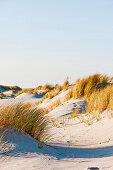 Dunes at Ellenbogen peninsula, Sylt, Schleswig-Holstein, Germany