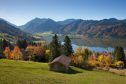 View over lake Schliersee onto Brecherspitz, Upper Bavaria, Germany, Europe