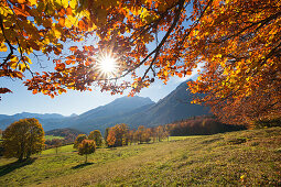 Autumnal landscape near Ramsau, view of Watzmann, Berchtesgaden region, Berchtesgaden National Park, Upper Bavaria, Germany, Europe