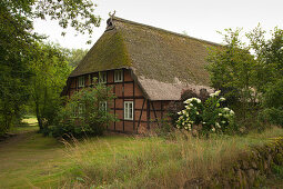 Farm house at Heather Museum, Wilsede, Lueneburg Heath, Lower Saxony, Germany, Europe