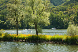 Motorboote auf der Mosel, Rheinland-Pfalz, Deutschland