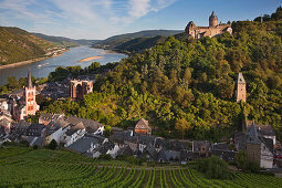 Blick aus den Weinbergen auf Bacharach und Burg Stahleck, Rhein, Rheinland-Pfalz, Deutschland