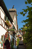 Drosselhof at Drosselgasse, Ruedesheim, Rheingau, Rhine river, Hesse, Germany