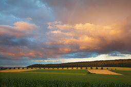 Thunderclouds in the evening, Solling, Lower Saxony, Germany