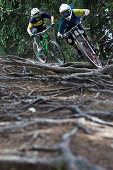 Zwei Freeride Mountainbiker fahren über Wurzeln in einem Wald, Chatel, Haute-Savoie, Frankreich