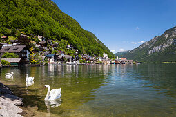 Hallstatt at Hallstatt lake, Salzkammergut, Upper Austria, Alps, Austria, Europe