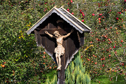 Crucifix between apple trees in autumn, Upper Bavaria, Bavaria, Germany