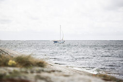 Segelboot an der schwedischen Küste, Mollösund, Orust, Bohuslän, Schweden