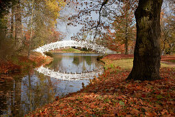 Weiße Brücke im Herbst, Wörlitzer Gartenreich, Sachsen-Anhalt, Deutschland