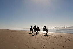 Reiter zu Pferde am Sandstrand, Reitsport, gemeinsames Ausreiten morgens am Strand, Ostküste bei Christchurch, Südinsel, Neuseeland