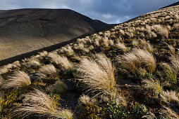 Volcanic terrain, Tongariro Alpine Crossing, Great Walk, Tongariro National Park, World Heritage, North Island, New Zealand