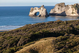 Felsgruppe an der Küste bei Wharariki Strand,Archway Islands im Hintergrund,Teatree-Bäume vom Wind geformt,Puponga Farm Track,Südinsel,Neuseeland