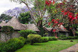 Mountain Village Hotel, Arusha, Tanzania, East Africa, Africa