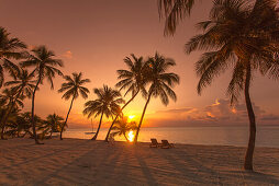 Beach at sunrise at the Moorings Village Resort, Islamorada, Florida Keys, Florida, USA