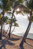 Beach area with hammock at luxury hotel Reach Resort, Key West, Florida Keys, USA