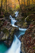 Many small cascades of Lepenjica, a tributary of the Isonzo in the fall, Gorenjska, Slovenia