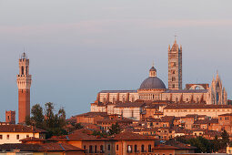 Cityscape with Torre del Mangia, bell tower of the town hall and Duomo Santa Maria cathedral, Siena, UNESCO World Heritage Site, Tuscany, Italy, Europe