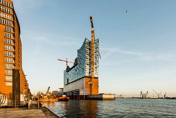 Kehr Wieder Spitze and Elbphilharmonie in the HafenCity of Hamburg, Hamburg, north Germany, Germany
