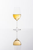 Glass of white wine with reflection, Hamburg, Northern Germany, Germany