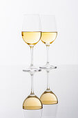 Zwei Glas Weißwein mit Spiegelung Hamburg, Norddeutschland, Deutschland
