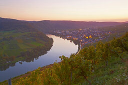 River Mosel at Kroev, Rhineland-Palatinate, Germany, Europe
