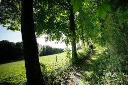 Man cyclocross touring in autumn, Oberambach, Munsing, Bavaria, Germany