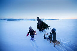 Father with two children carrying Christmas tree through snow, Degerndorf, Munsing, Upper Bavaria, Germany