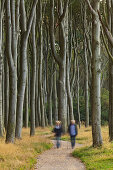 Ramblers walking along a path through ghost forest, Gespensterwald, Nienhagen, Mecklenburg-Vorpommern, Germany