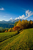 Autumn scenery in Ennstal, Dachstein in background, Styria, Austria