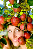 Young woman in an apple tree, Styria, Austria