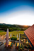 Terrasse von einem Weinlokal, Steiermark, Österreich