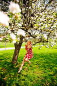 Junge Frau schaukelt in einem Apfelbaum, Stubenberg, Steiermark, Österreich
