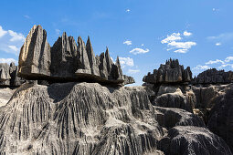 Tsingy-de-Bemaraha National Park, Mahajanga, Madagascar, Africa