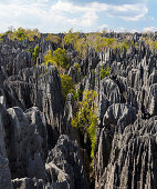 Karstlandschaft Tsingy de Bemaraha, Nationalpark Tsingy-de-Bemaraha, Mahajanga, Madagaskar, Afrika