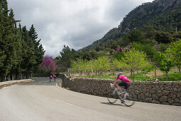 Cyclists at Col de Soller, Soller, Majorca, Spain
