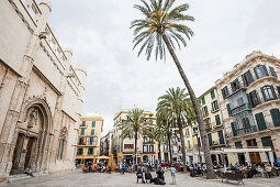 Placa Drassana in the historic part of Palma de Mallorca, Majorca, Spain