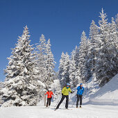 Three cross-country skiers, Gantrisch area, Berner Oberland, Canton of Bern, Switzerland