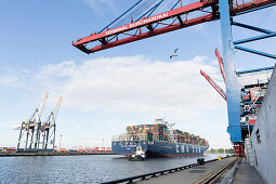 Container ships being towed to the berth in the port, Burchardkai, Hamburg, Germany