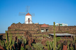 Jardin de Cactus, Guatiza, Lanzarote, Kanarische Inseln Spanien