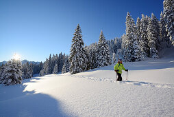 Frau auf Skitour, Teufelstättkopf, Ammergauer Alpen, Oberbayern, Bayern, Deutschland