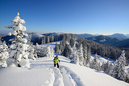 Female backcountry skier ascending to Teufelstaettkopf, Ammergau Alps, Upper Bavaria, Bavaria, Germany