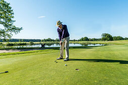 Golfer putting on the green, Schleswig-Holstein, Germany